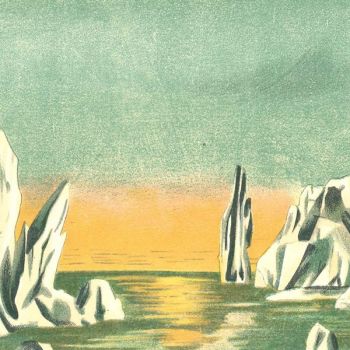 P&ocirc;le Nord (l. 60 x h. 18 cm)