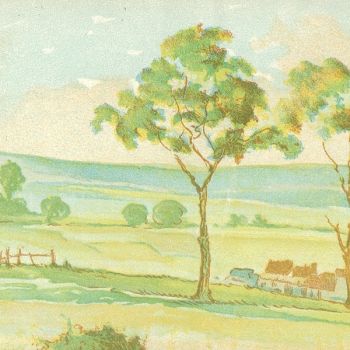 Campagne Empire (sans barbelés) (l. 60 x h. 12 cm)