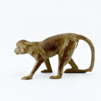 Singe sur ses 4 pattes