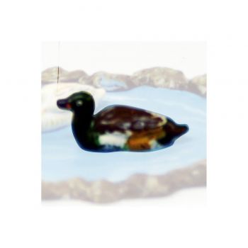 Canard nageant marron