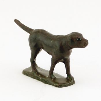 Chien marron fonc&eacute;