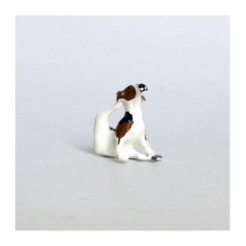 Chien de chasse &agrave; courre (Beagle) assis se grattant l'oreille