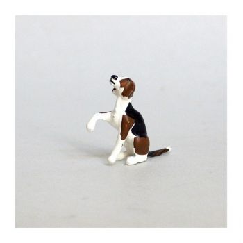 Chien de chasse &agrave; courre (Beagle) assis donnant la patte