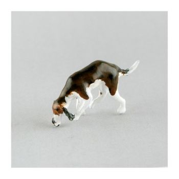 Chien de chasse &agrave; courre (Beagle) reniflant