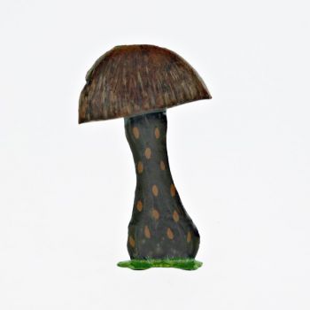 Grand champignon préhistorique (h. 10,5 cm)