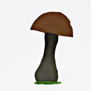 Grand champignon préhistorique (h. 10,5 cm)