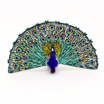 Paon faisant la roue